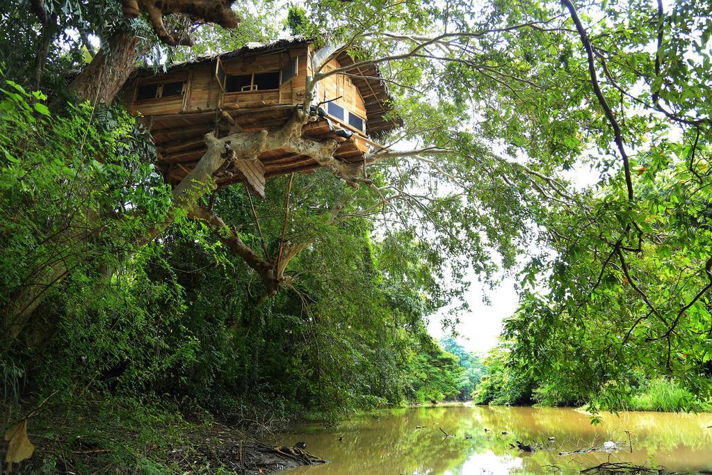 Вілла Kumbuk Tree House Тіссамахарама Екстер'єр фото
