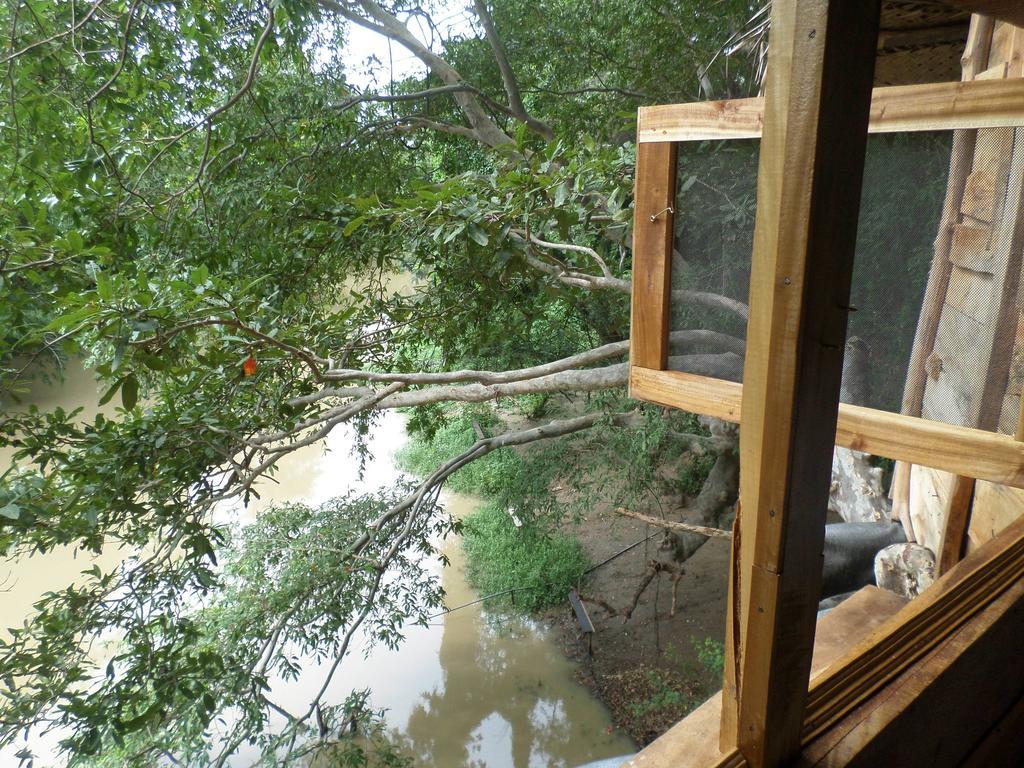 Вілла Kumbuk Tree House Тіссамахарама Екстер'єр фото