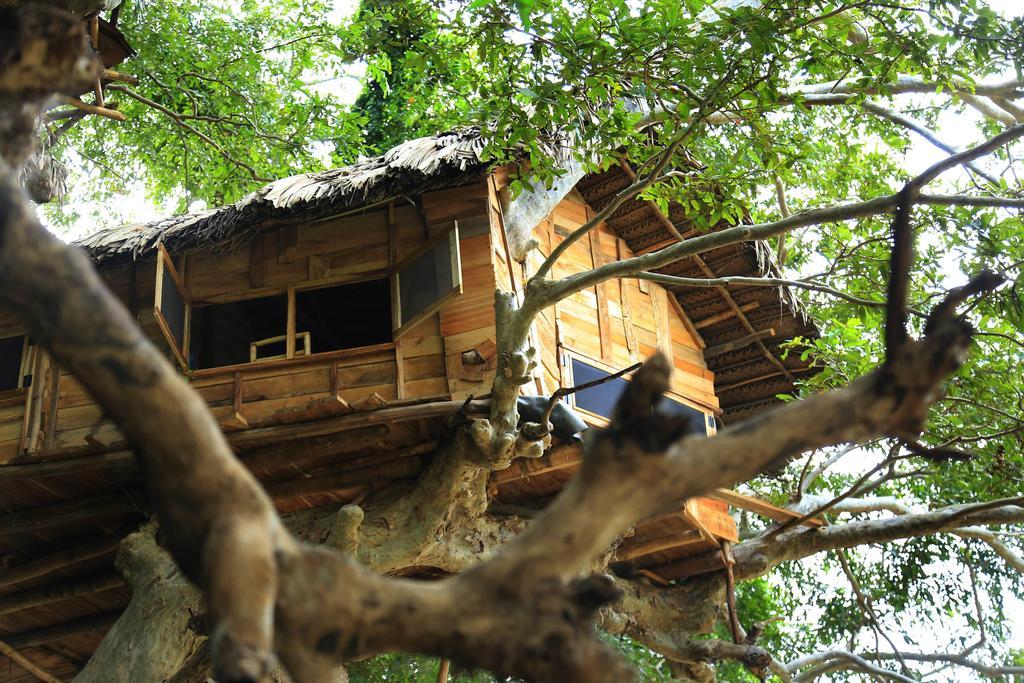 Вілла Kumbuk Tree House Тіссамахарама Екстер'єр фото